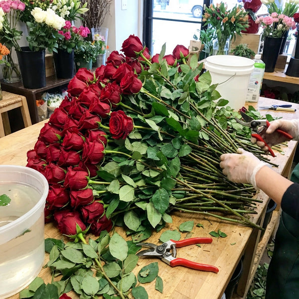 Elegant Forever Roses Gift Set